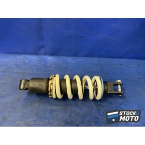 Amortisseur arrière 