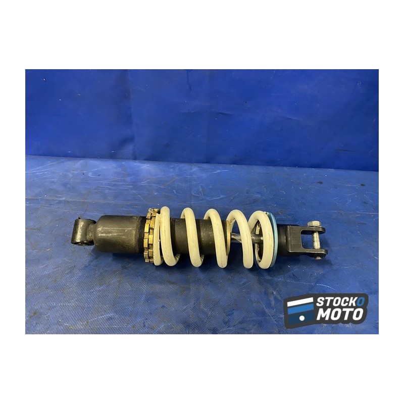 Amortisseur arrière 