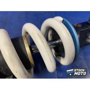 Amortisseur arrière 