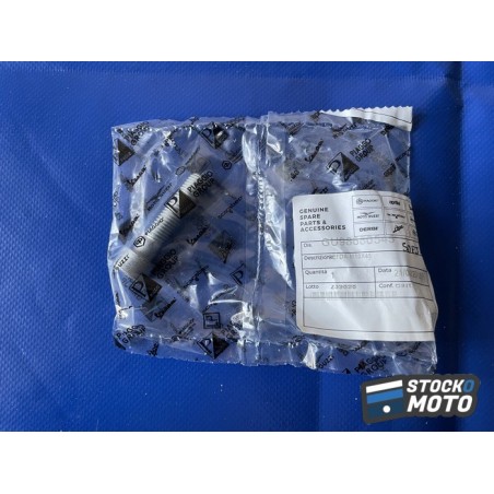 Joint Aprilia GU98880545 DA M10x45 