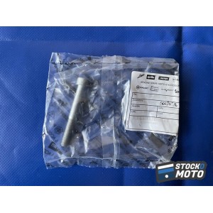 Joint Aprilia GU98680465 vite t cei Da M8x65 