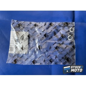 Joint Aprilia GU14615901 rosetta 