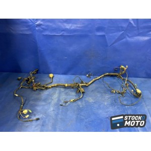 Faisceau électrique principal 