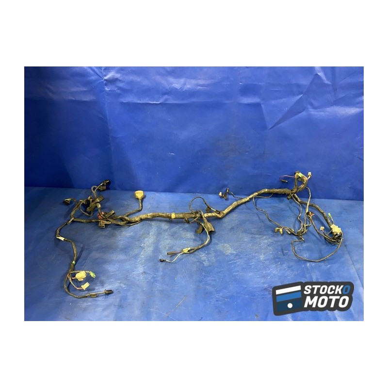 Faisceau électrique principal 