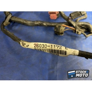 Faisceau électrique principal 