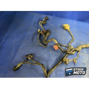 Faisceau électrique principal 