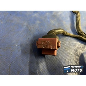 Faisceau électrique principal 