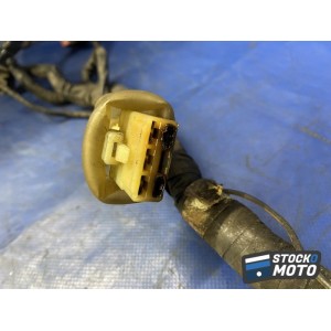 Faisceau électrique principal 