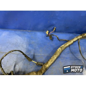 Faisceau électrique principal 