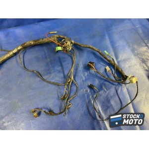 Faisceau électrique principal 