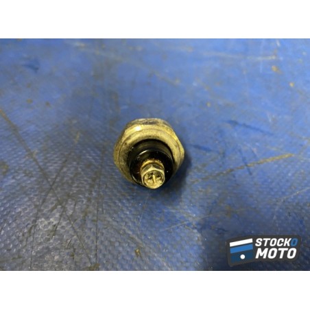 Sonde de température 