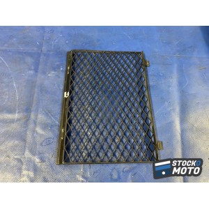 Grille de radiateur gauche 