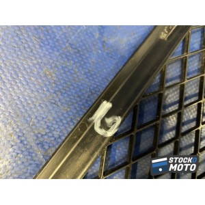 Grille de radiateur gauche 