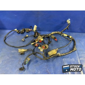 Faisceau électrique principal 