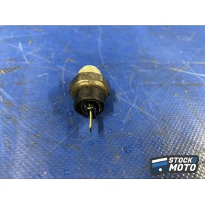 Sonde de température 