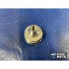 Bouchon de fourche n°2 