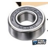 Roulements FACTORY LINKS - 6005 2RS