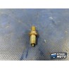 Sonde 