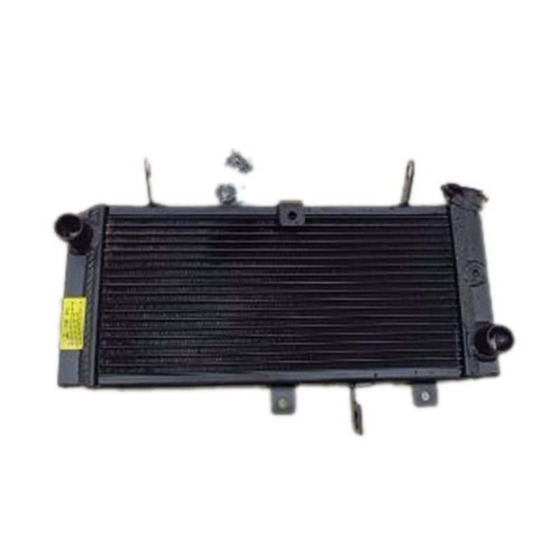 Radiateur d'Eau SUZUKI SV650 (2017-2023)