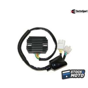 Régulateur ELECTROSPORT -...