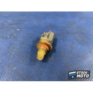 Sonde 