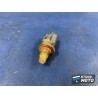 Sonde 