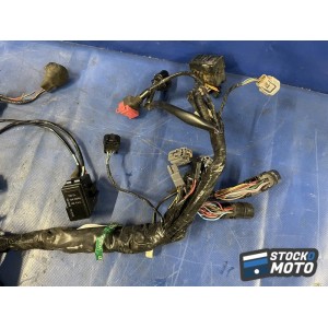 Faisceau électrique principal 