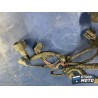 Faisceau éléctrique principale 