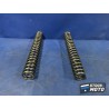 Ressorts de fourche 