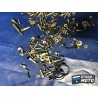 Kit de vis APRILIA RST 1000 FUTURA