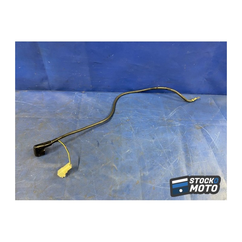 Cable de masse 