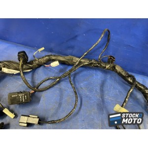 Faisceau électrique principal 
