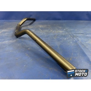 Guidon