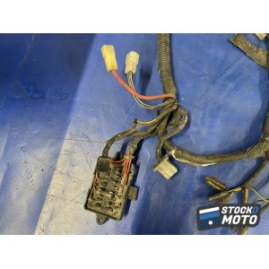 Faisceau électrique principal 