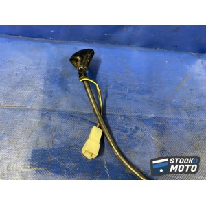 Cable 