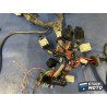 Faisceau électrique principal 