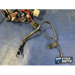 Faisceau électrique principal 