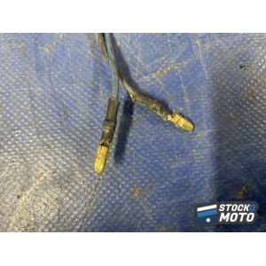 Veilleuse 