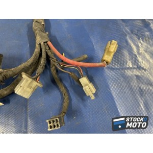 Faisceau électrique principal 