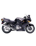 ZZR 600