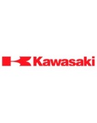 Kawasaki