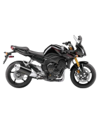 FZ-1