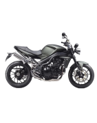 SPEED TRIPLE 1050