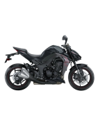 Z 1000